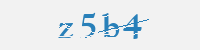 보안문자